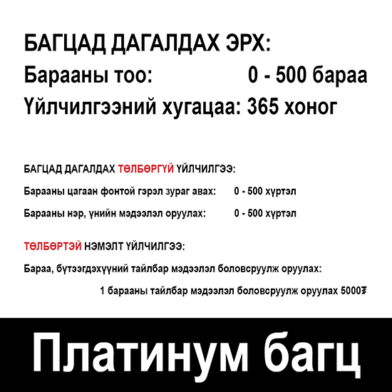 ПЛАТИНУМ ГИШҮҮНЧЛЭЛИЙН БАГЦ