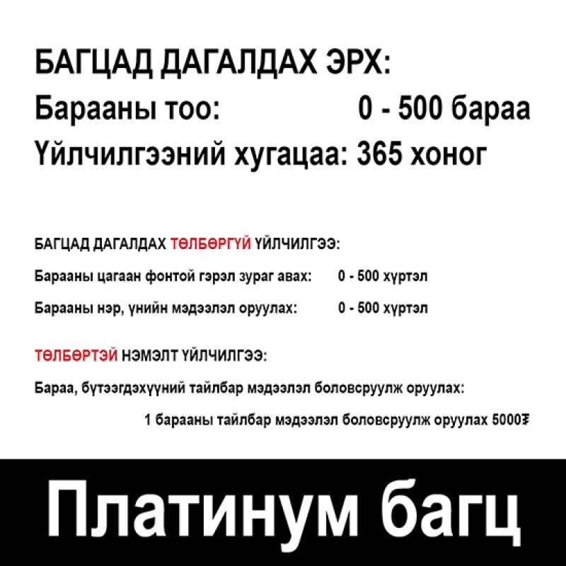 ПЛАТИНУМ ГИШҮҮНЧЛЭЛИЙН БАГЦ