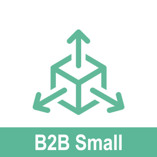 B2B SMALL ГИШҮҮНЧЛЭЛИЙН БАГЦ