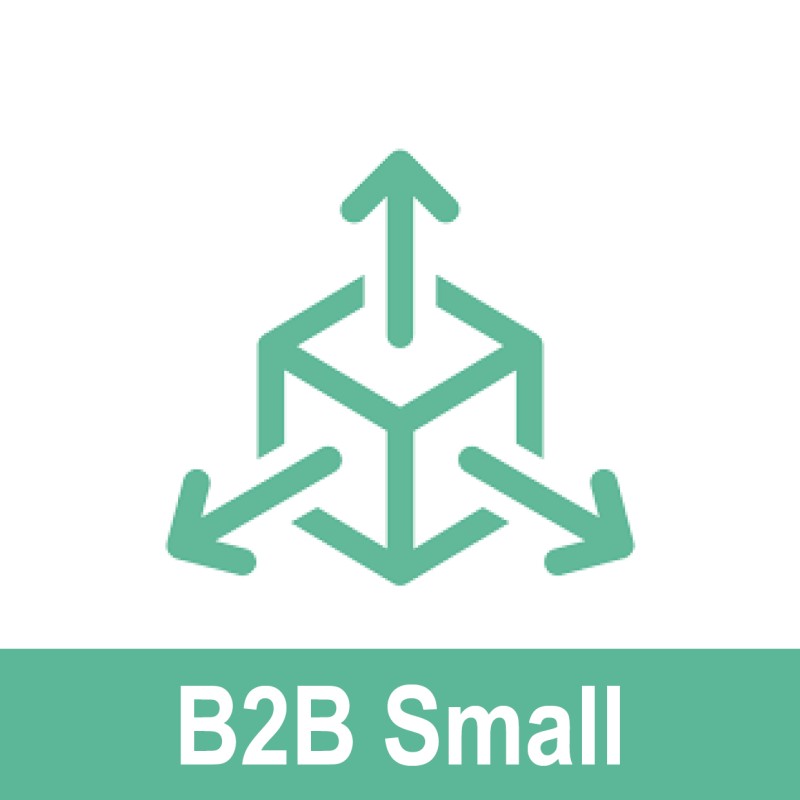 B2B SMALL ГИШҮҮНЧЛЭЛИЙН БАГЦ