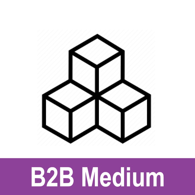 B2B MEDIUM ГИШҮҮНЧЛЭЛИЙН БАГЦ