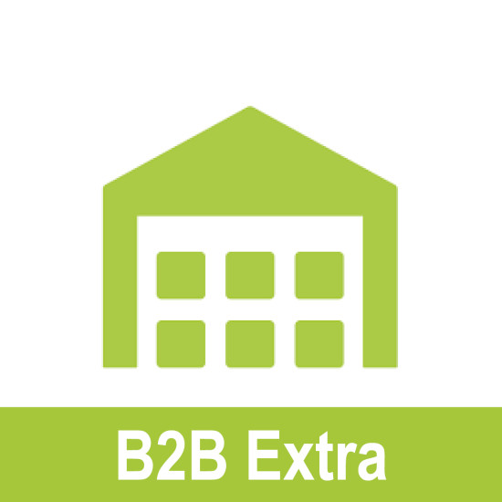 B2B EXTRA ГИШҮҮНЧЛЭЛИЙН БАГЦ