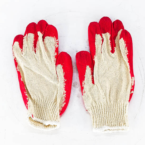 Солонгос улаан алгатай бээлийн